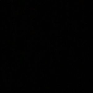 Meet your Posher, Dustin